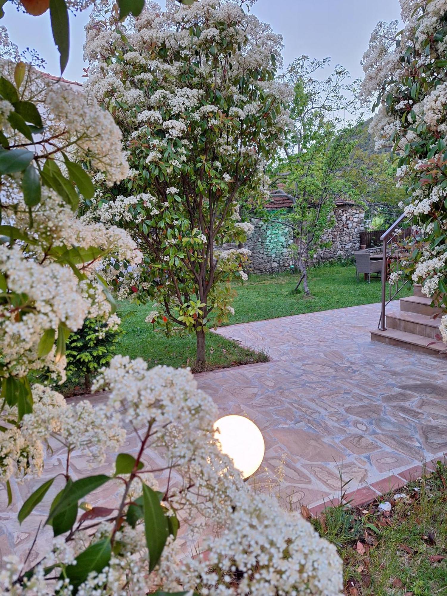 Country House On Mount Olympus Karia  Esterno foto
